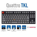 アーキス AS-KBQ91/CGBA Quattro TKL 青軸 日本語JIS配列 ポインティングスティック搭載 ASKBQ91CGBA