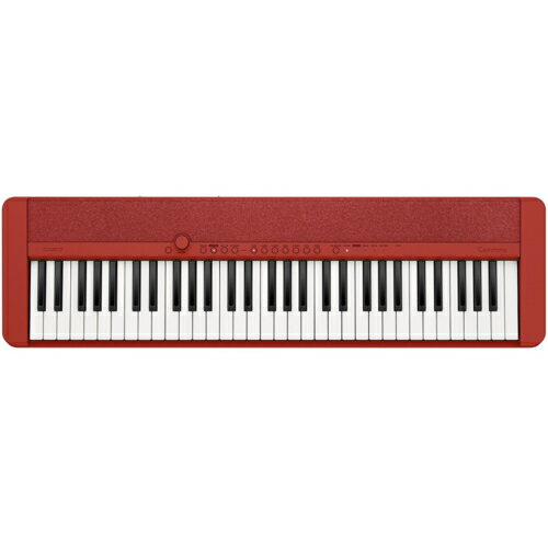 CASIO  CT-S1RD(å) Casiotone Żҥܡ CTS1RD