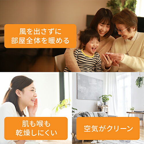 �ǥ��� DELONGHI RHJ21F0812-GY ���������졼 ������ƥ�����ɥ�����ҡ����� 1200W RHJ21F0812GY