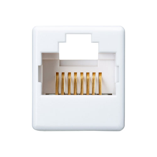 サンワサプライ ADT-EX-6AUTP(ホワイト) RJ-45中継アダプタ(カテゴリ6A UTP)