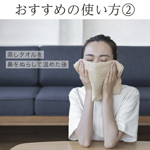 �ѥʥ��˥å�(Panasonic) EH-SC10-E �١����� �ӷ�۰� ���ݥåȥ��ꥢ