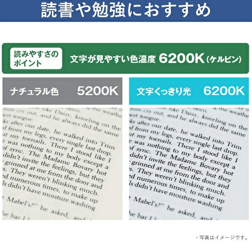 パナソニック Panasonic FCL3240EDWMCF32K 丸形蛍光灯 パルック20000 32+40形 昼光色 2本入 FCL3240EDWMCF