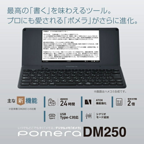 キングジム KING JIM DM250 デジ...の紹介画像3