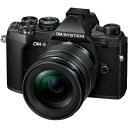 OM SYSTEM OM-5 12-45mm F4.0 PRO YLbg(ubN)