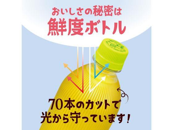 ��ƣ�� ���������� ���ե����󥼥� 470ml��24�� ��٥�쥹[����Բ�]