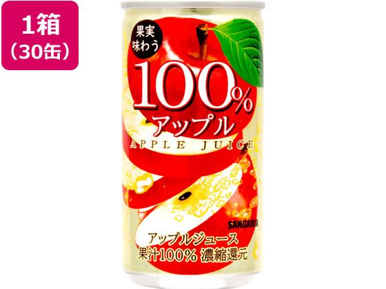 Other - サンガリア アップル100% 190g缶 30缶[代引不可]