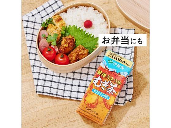 ��ƣ�� �򹯥ߥͥ��म�� 250ml 24��[����Բ�]