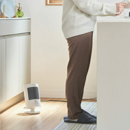 �ɥ�������(Doshisha) CHY-062JWH �ۥ磻�� �ʹ����󥵡��岼��ư�󿶤�ѡ����ʥ륻��ߥå��ҡ����� 600W