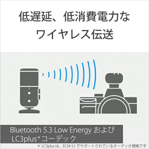 ���ˡ�(SONY) ECM-S1 �磻��쥹/���ȥ꡼�ߥ󥰥ޥ������ۥ�