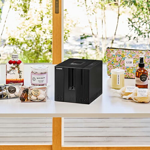 CASIO(カシオ) KL-LE900KR ネームランド NAME LAND BiZ+ ネームランド ビズプラス