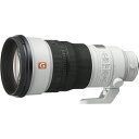 ソニー(SONY) FE 300mm F2.8 GM OSS SEL300F28GM Eマウント用 フルサイズ 望遠単焦点レンズ