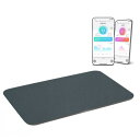 【長期保証付】issin スマートバスマット ダークグレー 体重管理 珪藻土バスマット 体重計モデル