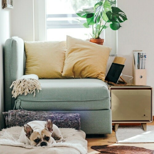 【設置】SAPPHIRE(サファイア) SAPPHIRE by LOOZER SMART TABLE STB30 TOFFEE 冷蔵庫付きスマートテーブル 1ドア 30L