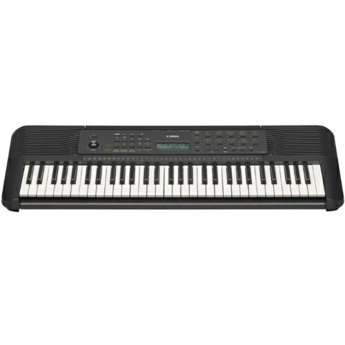 PSR-E283