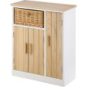 不二貿易 【完成品】マルチスタイルラック ポーラ ワイド