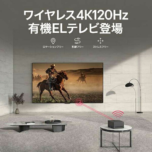【標準設置料金込】LGエレクトロニクス LG ...の紹介画像2