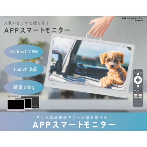【長期保証付】NewBridge ニューブリッジ AN-M010W ホワイト 11.6型 小型チューナ...