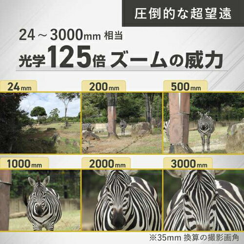 ニコン Nikon COOLPIX P1100 超望遠ズームデジタルカメラ 光学125倍 COOLPIXP1100