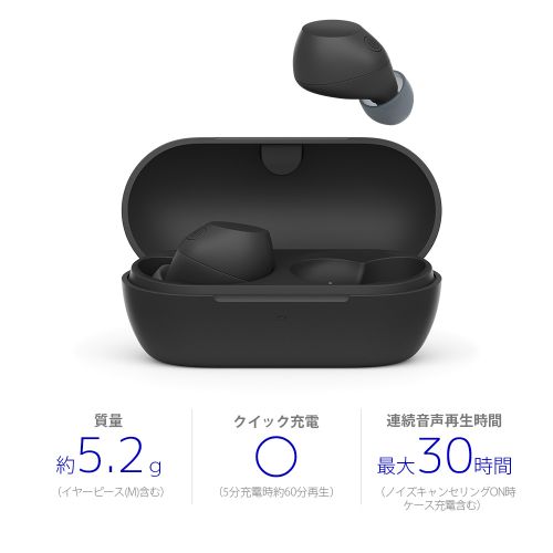【長期保証付】ソニー SONY WF-C710N-B ブラック 完全ワイヤレスイヤホン WFC710NB
