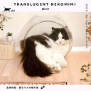 後藤家具物産 CAT-NEKOEAR 猫耳PET素材のスケルトン ボール 猫ear クッション付