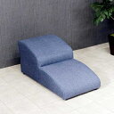 後藤家具物産 DG-STEP-2-BL(ブルー) ドッグステップ 2段