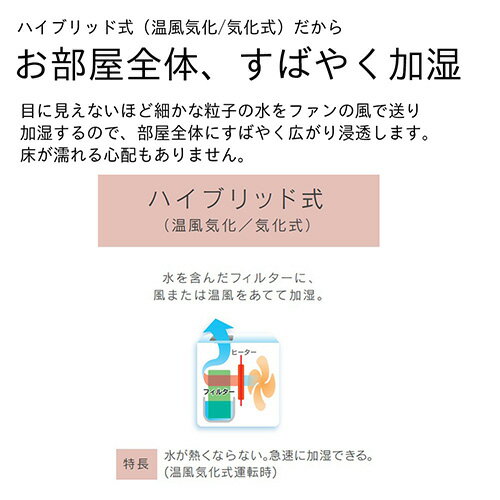 �����˥� HD-RXT525W ����ɥۥ磻�� �ü��� �ץ�ϥ��μ�14��/��¤�¼� 8.5�� �ü��� 500mL/h