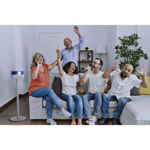 エプソン(EPSON) ELPKM01 カラオケマイク ワイヤレスマイク 2本セット