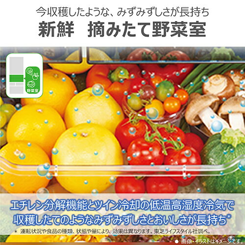 【標準設置料金込】【長期保証付】東芝(TOSHIBA) GR-Y550FK-EC サテンゴールド VEGETA FKシリーズ 6ドア冷蔵庫 観音開き 551L 幅685mm