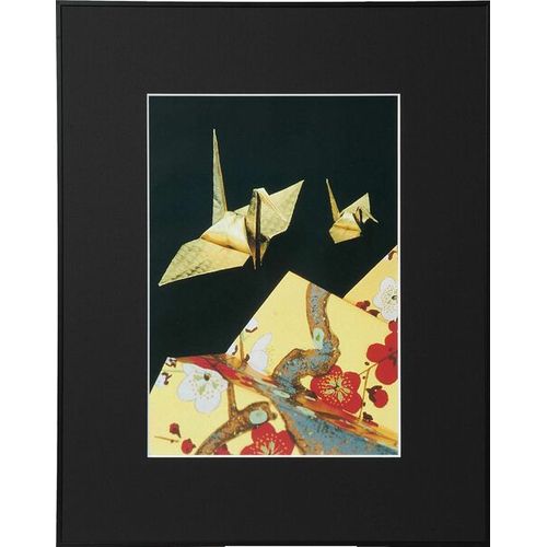 ケンコー(Kenko) AGR-A3-BK-AC ブラック 画廊 A3 アクリル入り