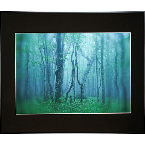 ケンコー(Kenko) AGY-A2-BK ブラック ギャラリー A2