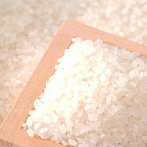 ↑↑↑正確な在庫状況は上記バナー「在庫状況を確認する」をクリックして頂き、必ずご確認ください。&nbsp;&nbsp;&nbsp;3kg×2魚沼地区は、夏暑く冬寒く、昼夜の気温差大きいので稲の成育に大変適しています。また雪解け水が通年に渡っ...