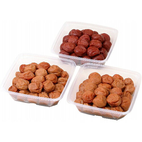 �²λ�����������ߴ����٤����[����Բ�]