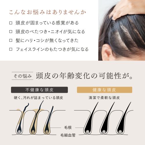 ��Ĺ���ݾ��աۥޥ��ȥ�å��� MYTREX MT-HSDX-24-B-B �֥�å� MYTREX HEAD SPA DEEP X �������ŵ��˥إåɥ��� MTHSDX24BB