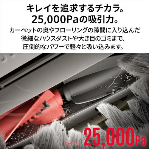 【長期保証付】ロボロック Roborock ROBOROCK Qrevo Curv2 Pro QC2P02-04 ロボット...