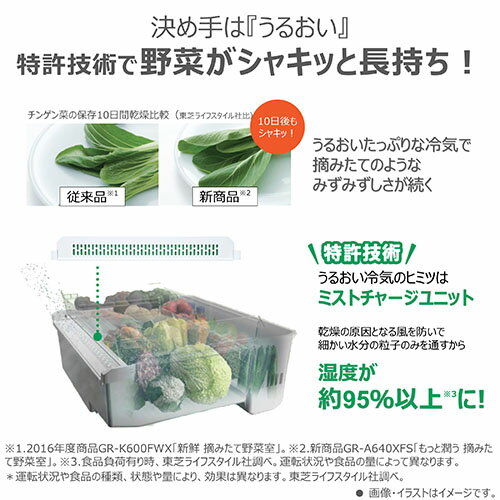 【標準設置料金込】【長期保証付】東芝(TOSHIBA) GR-A550FZ-UC グレインアイボリー VEGETA FZシリーズ 6ドア冷蔵庫 観音開き 551L 幅685mm