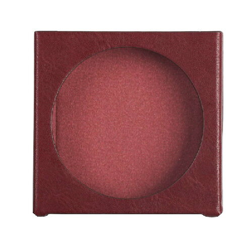 FiiO(フィーオ) FIO-SK-SSDISC-R レッド Snowsky DISC FIO-SSDISC専用保護ケース