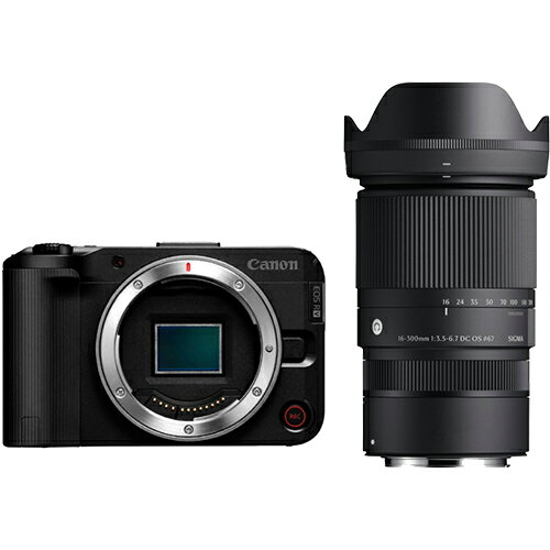 Canon デジタル一眼レフカメラ 本体 望遠レンズセット 楽天市場】一眼レフ望遠セットの通販