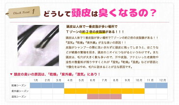 【送料無料】【2本セット】Mignon〜ミニョン スカルプヘアミスト〜ヘアフレグランス・ヘアローション毛髪活性 ヘアケア 毛髪力 アップ 毛穴 髪の毛 ハリ ツヤ 潤い 天使の輪 ヘアスプレー