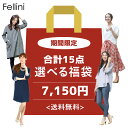 15点選べる福袋【福袋チケット】7,150円　送料無料　フェリーニ　Fellini　★☆自分で選べる福袋☆★　レディース 選べる よりどり　福袋　セット　対象商品から 自由に選べる福袋 送料無料 中身が選べる 福袋 2024 秋冬 春夏 　送料無料 服 ファッション カジュアル