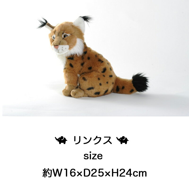 ついに再入荷 リアルで可愛い ぬいぐるみ 陸 選択 ペチャット ボタン型おしゃべりスピーカー ギフト プレゼントに大人気 動物 動物園 ぬいぐるみ おもちゃ 送料無料 沖縄 離島の方はご相談ください 博報堂 21新発 Www Medicinfo Ro ついに再入荷 リアルで可愛い ぬいぐるみ 陸 選択 ペチャット ボタン型おしゃべりスピーカー ギフト プレゼントに大人気 動物 動物園 ぬいぐるみ おもちゃ 送料無料 沖縄 離島の方はご相談ください 博報堂 21新発 Www Medicinfo Ro