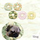 【 犬 健康 】 iDog SHIELD COAT エリザベスカラー アイドッグ 【 ヘルスサポート 怪我 】送料無料