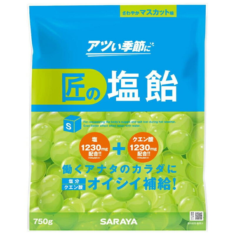 熱中症対策 サラヤ 匠の塩飴 マスカット味 750g 約175粒 熱中症 対策 塩分補給 国産塩 個包装 キャンディ クエン酸 糖分※北海道・沖縄..