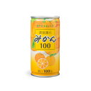 ジューシー みかん100%ジュース【190g缶×30缶入】
