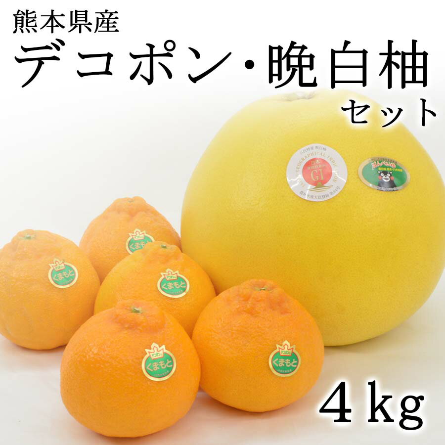 【予約商品】熊本県産デコポン 温室栽培（加温）タイプ【約2kg・5玉入】晩白柚【約2kg・1玉入】 2025年..