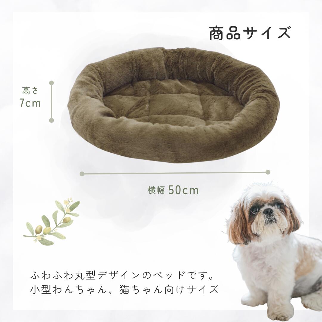 �ڥڥå��ѥ٥åɡ�Relax spot �դ���ݷ��٥åɡʥ��졼���֥饦�󡦥١������50 �� 44 �� 7cm�� ���� Ķ������ ������ ǭ�� �٥å� �ڥå��� ���� ���������ñ �ʥ����� �ǥ����� ����ץ� ���ߤ� ���襤�� �ڥåȥ��å� �ݥꥨ���ƥ�