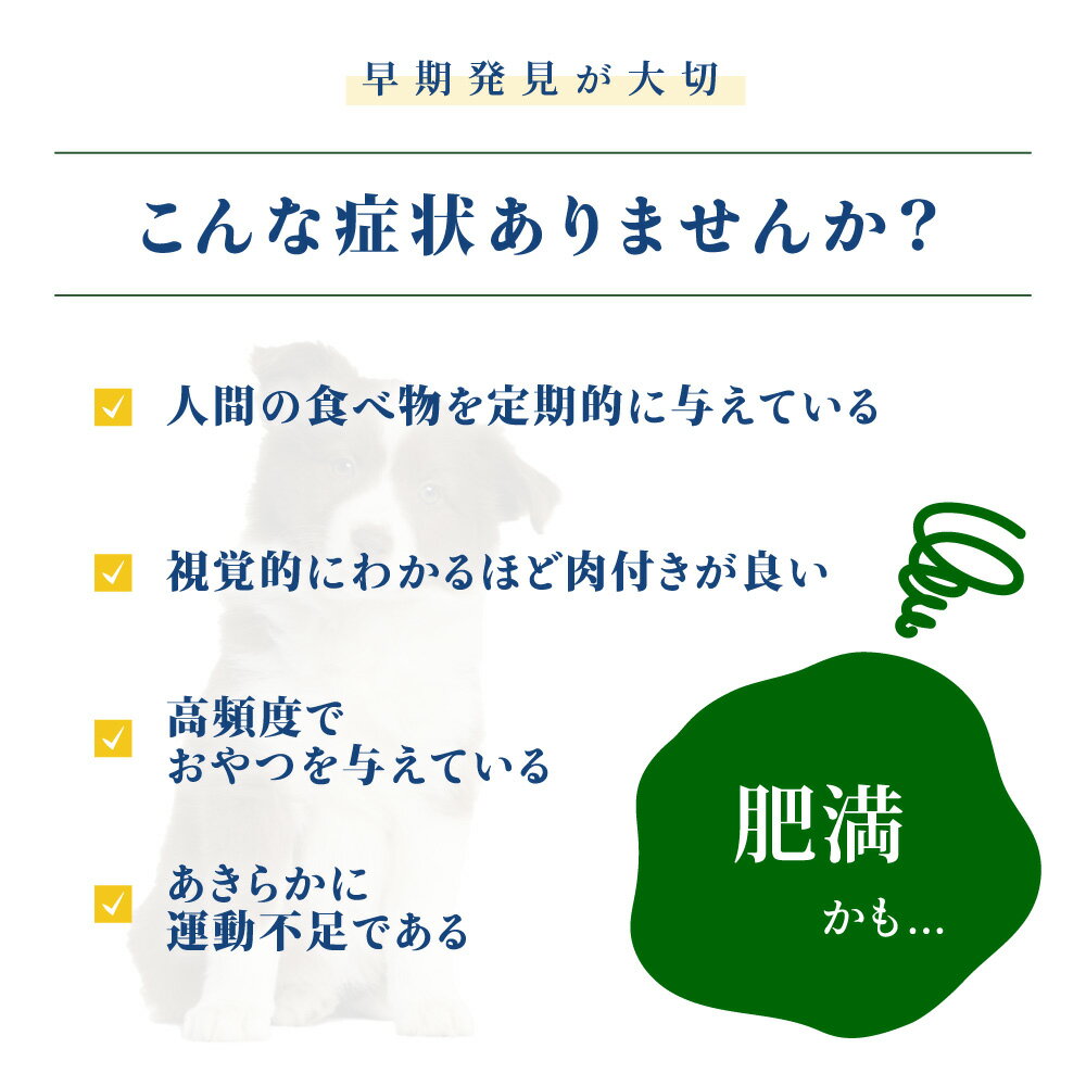 ☆【療法食】VetSolusion 犬用肥満サポート 800g 正規代理店【ベッツソリューション】 2