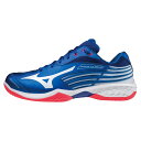 MIZUNO　ミズノ　バドミントンシューズ　ウエーブクロー2 SPECIAL EDITION　ユニセックス　71GA211022　★13000