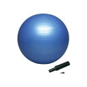 ハタ バランスボール トレーニング用品 hatas バランスボールセイフティー 55cm(ポンプ付) DB55P ★4900