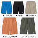 送料無料 フレキシブルショーツ 11 inch(メンズ) ザ・ノース・フェイス ショートパンツ THE NORTH FACE ハーフパンツ NB22583 25...