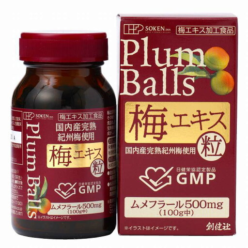 【創健社公式】国内産完熟紀州梅使用 梅エキス 粒 90g | (約450粒) ムメフラール 無添加 自然食品 化学調味料不使用 健康食品 サプリ サプリメントムメフラール 国産 健康 予防 対策 創健社 【創健社公式】国内産完熟紀州梅使用 梅エキス 粒 90g | (約450粒) ムメフラール 無添加 自然食品 化学調味料不使用 健康食品 サプリ サプリメントムメフラール 国産 健康 予防 対策 創健社